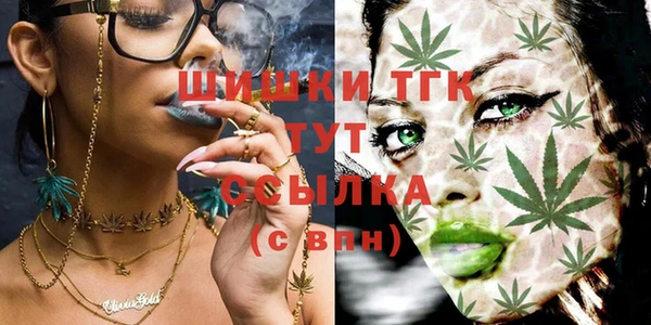 прущие грибы Алзамай