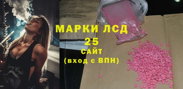 прущие грибы Алзамай
